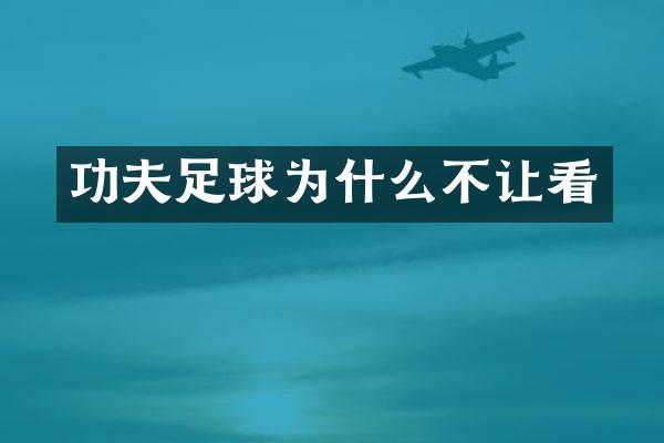 功夫足球为什么不让看