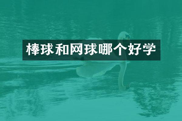 棒球和网球哪个好学