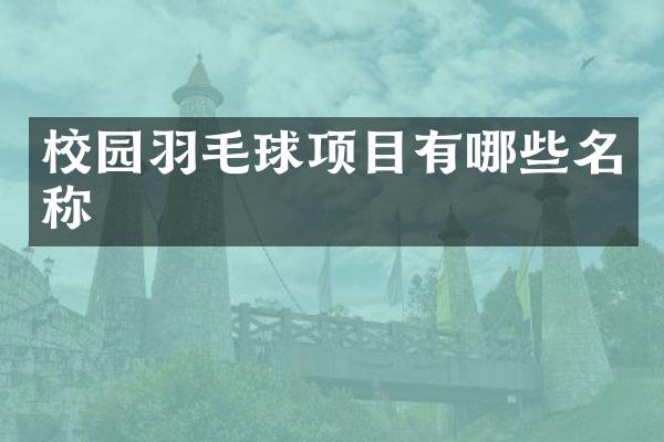 校园羽毛球项目有哪些名称