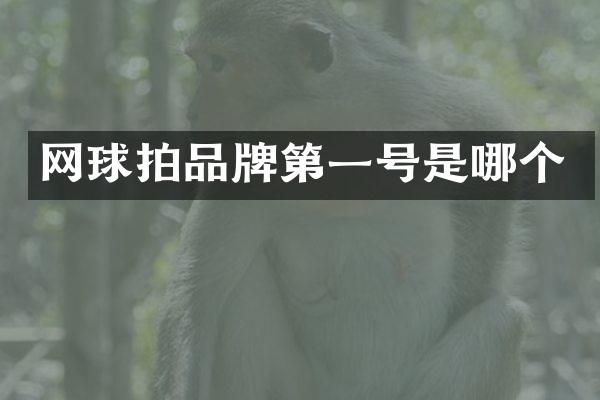 网球拍品牌第一号是哪个