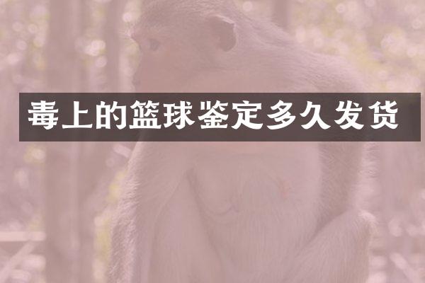 毒上的篮球鉴定多久发货