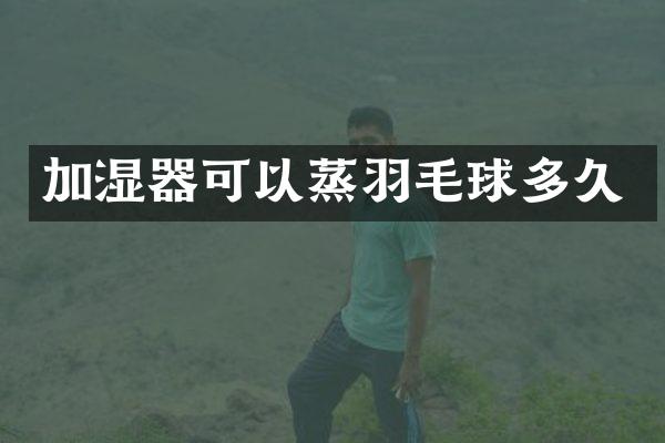加湿器可以蒸羽毛球多久