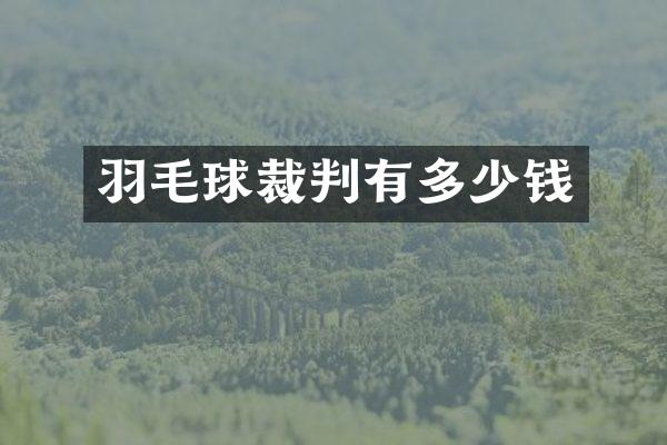 羽毛球裁判有多少钱