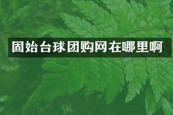 固始台球团购网在哪里啊