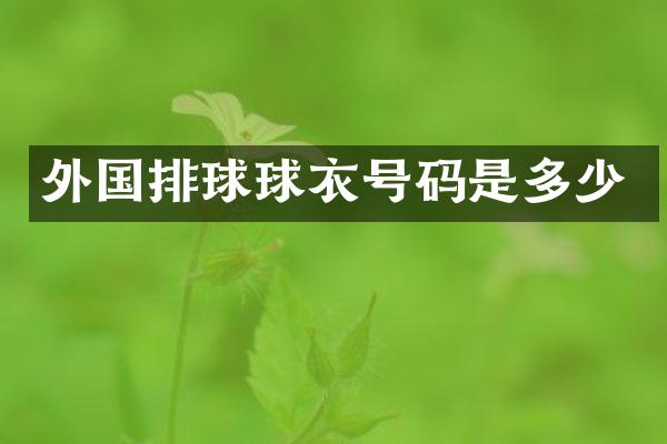 外国排球球衣号码是多少