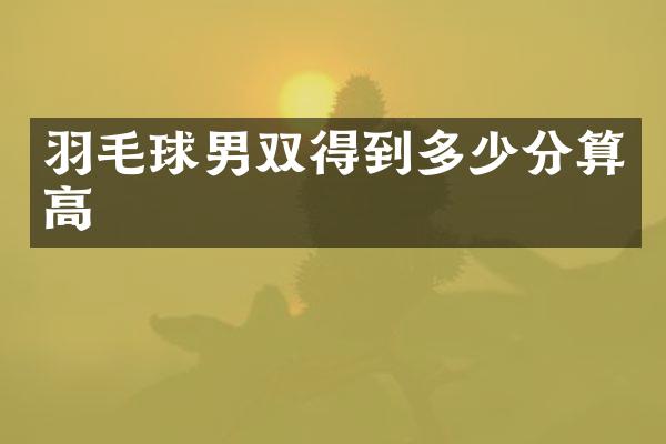 羽毛球男双得到多少分算高