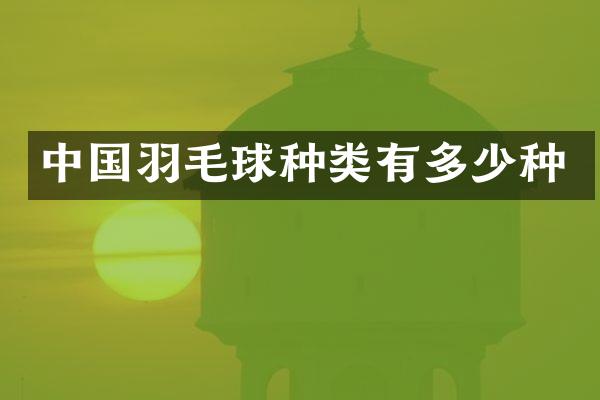中国羽毛球种类有多少种