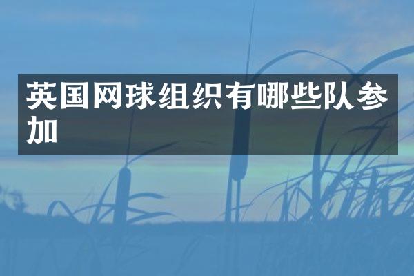 英国网球组织有哪些队参加