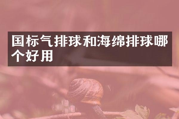 国标气排球和海绵排球哪个好用