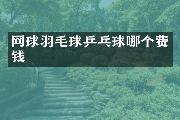 网球羽毛球乒乓球哪个费钱