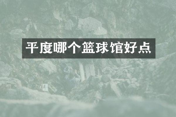 平度哪个篮球馆好点
