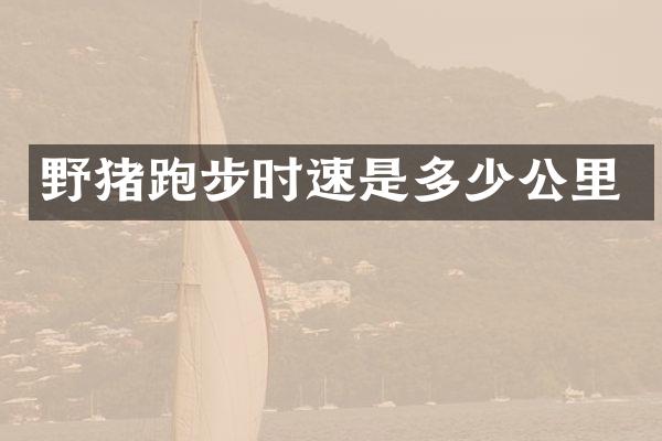 野猪跑步时速是多少公里