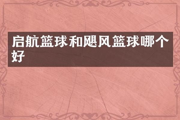 启航篮球和飓风篮球哪个好