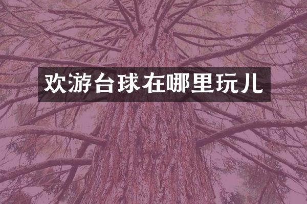 欢游台球在哪里玩儿