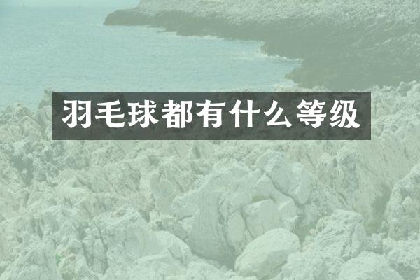 羽毛球都有什么等级