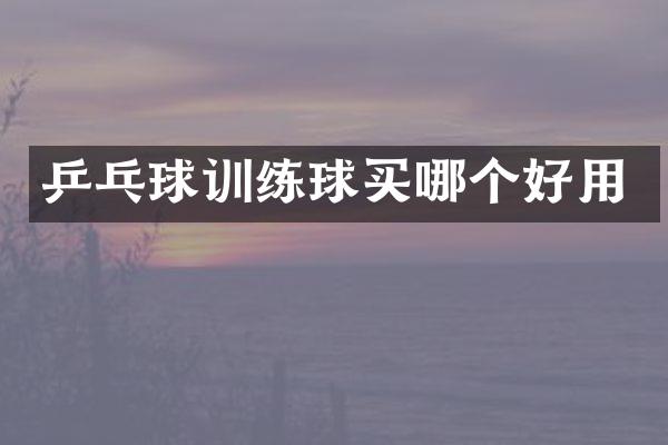 乒乓球训练球买哪个好用