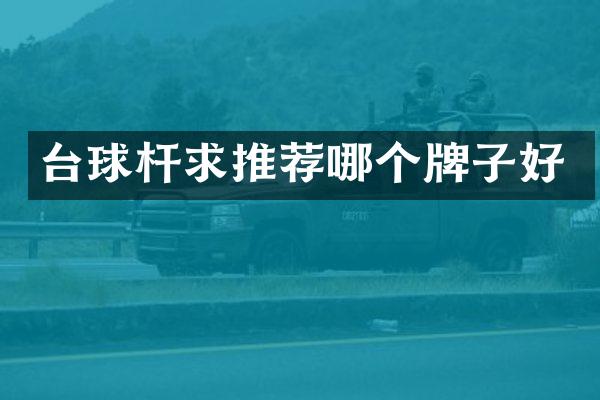 台球杆求推荐哪个牌子好