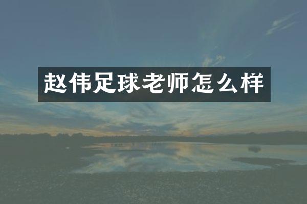 赵伟足球老师怎么样