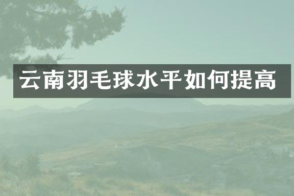 云南羽毛球水平如何提高
