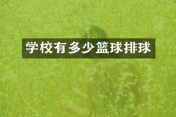 学校有多少篮球排球