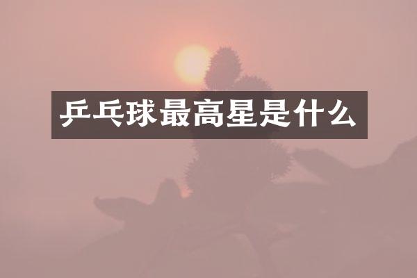 乒乓球最高星是什么