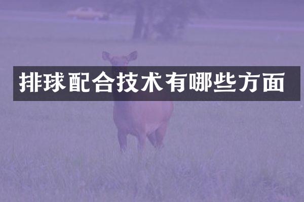 排球配合技术有哪些方面