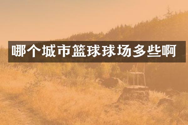 哪个城市篮球球场多些啊