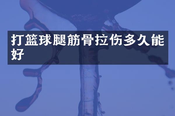 打篮球腿筋骨拉伤多久能好