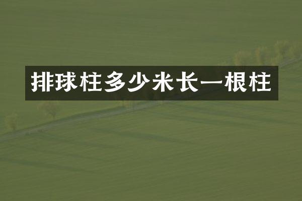 排球柱多少米长一根柱