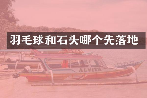 羽毛球和石头哪个先落地