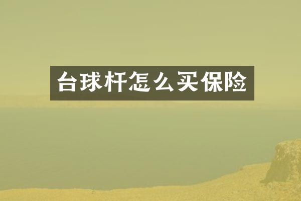 台球杆怎么买保险