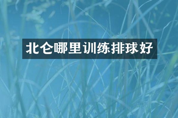 北仑哪里训练排球好