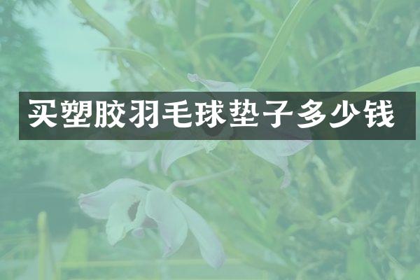 买塑胶羽毛球垫子多少钱