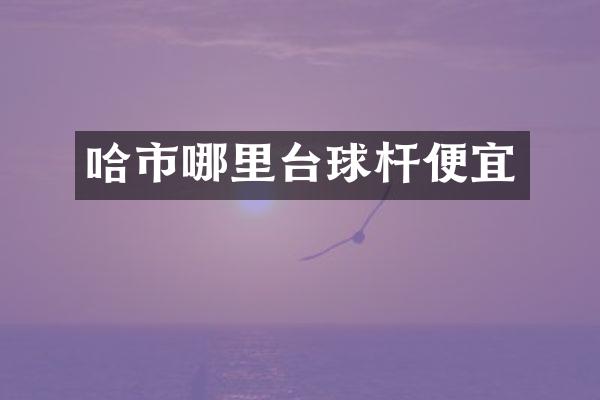哈市哪里台球杆便宜