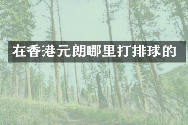 在香港元朗哪里打排球的