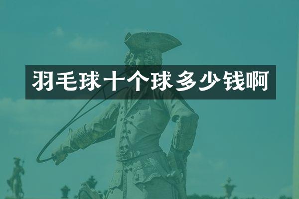 羽毛球十个球多少钱啊