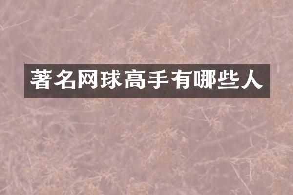 著名网球高手有哪些人