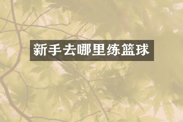 新手去哪里练篮球