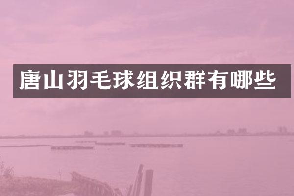唐山羽毛球组织群有哪些