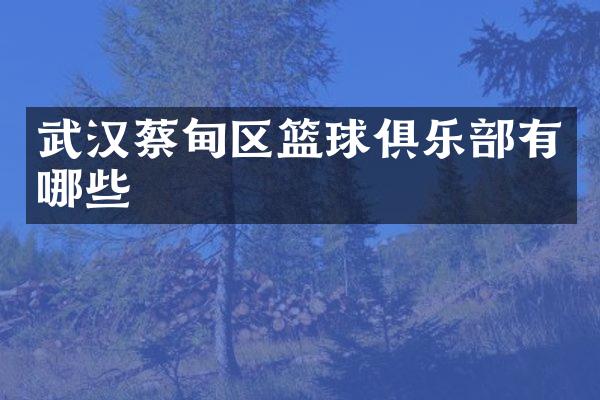 武汉蔡甸区篮球俱乐部有哪些