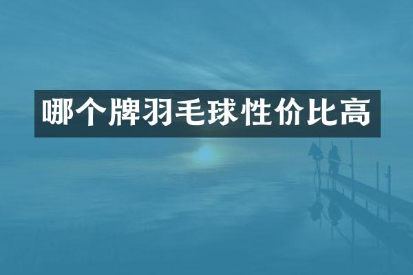 哪个牌羽毛球性价比高