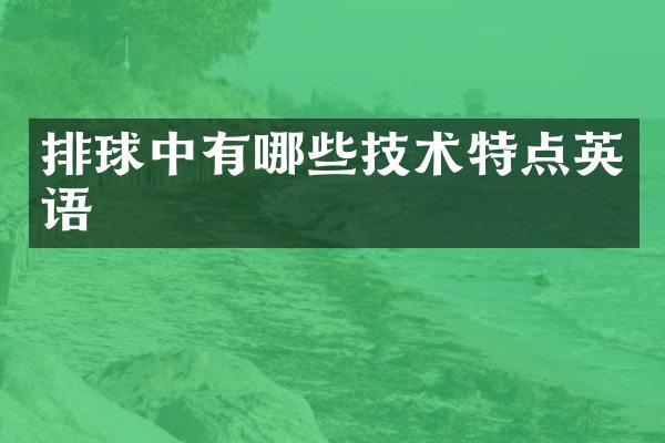 排球中有哪些技术特点英语