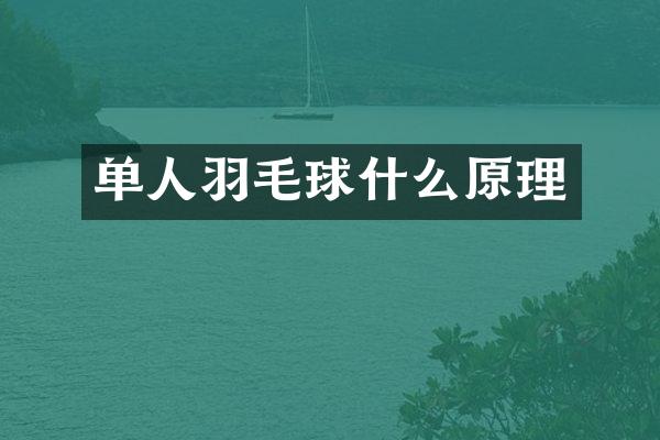 单人羽毛球什么原理