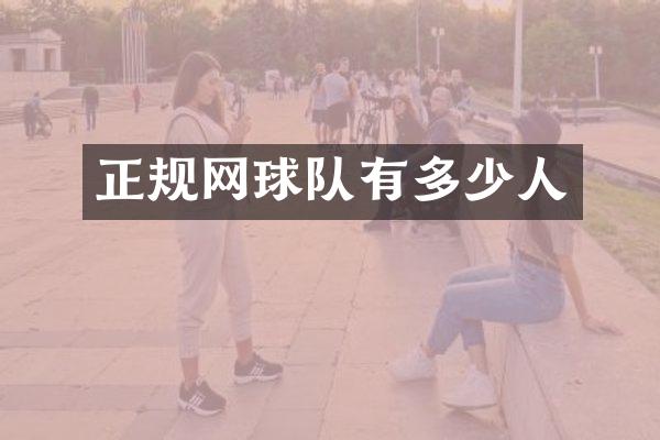 正规网球队有多少人