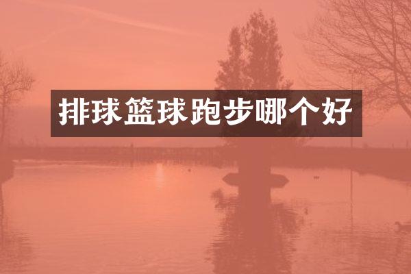 排球篮球跑步哪个好