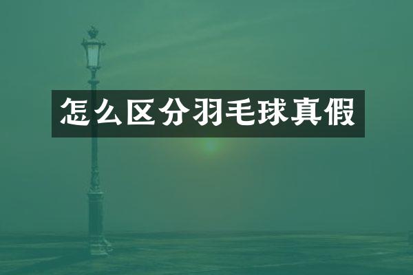 怎么区分羽毛球真假