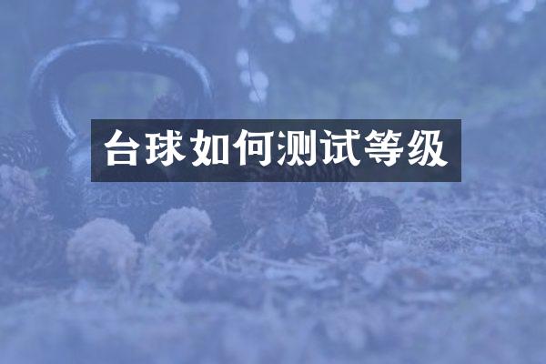 台球如何测试等级