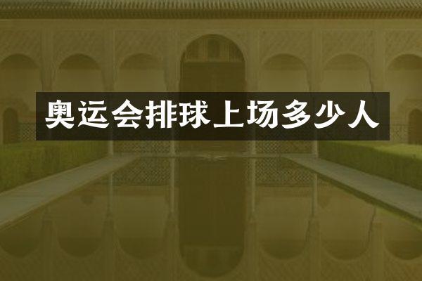 奥运会排球上场多少人