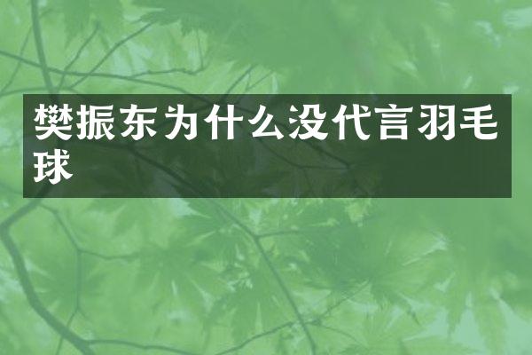 樊振东为什么没代言羽毛球