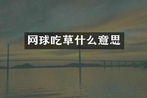 网球吃草什么意思